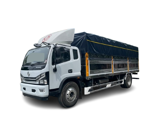 dong-D8-2025